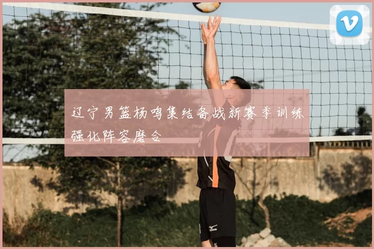 辽宁男篮杨鸣集结备战新赛季训练强化阵容磨合