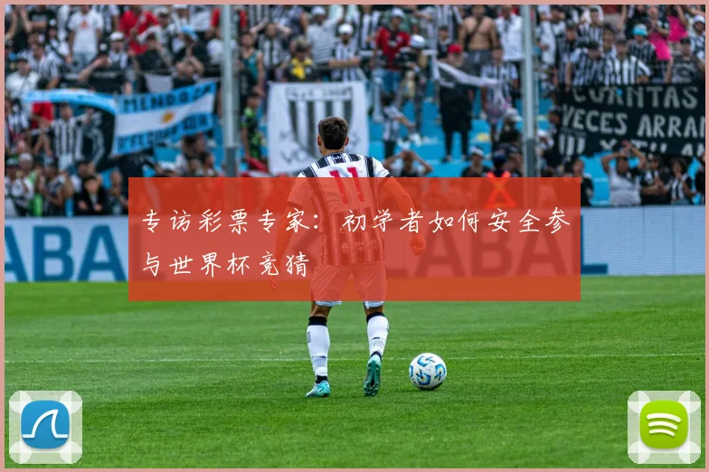 专访彩票专家：初学者如何安全参与世界杯竞猜