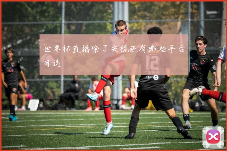 世界杯直播除了央视还有哪些平台可选
