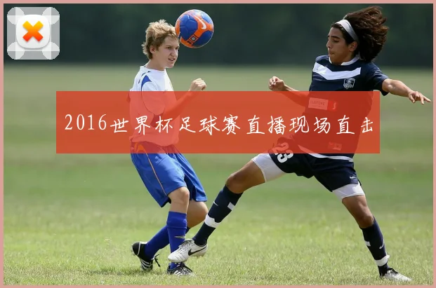 2016世界杯足球赛直播现场直击
