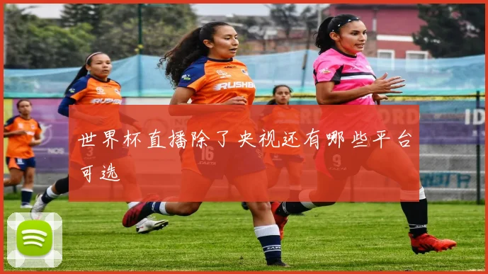 世界杯直播除了央视还有哪些平台可选