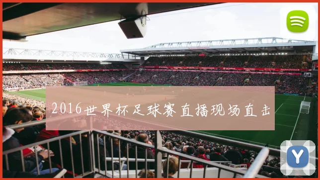 2016世界杯足球赛直播现场直击
